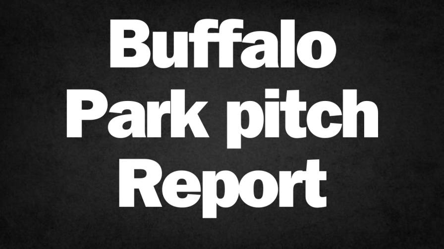 Buffalo Park pitch Report Hindi